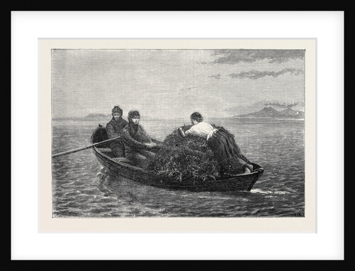 The Bracken Boat, 1870 by Anonymous