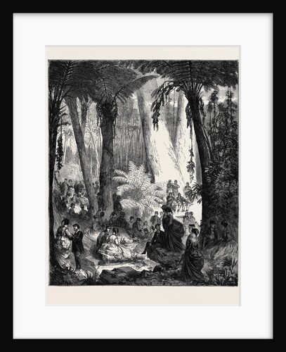 Picnic in Australia to the Officers of the Flying Squadron, 1870 by Anonymous