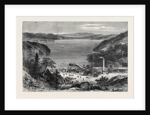 Australian Meat Curing Establishment, Lake Broadwater, 1870 by Anonymous