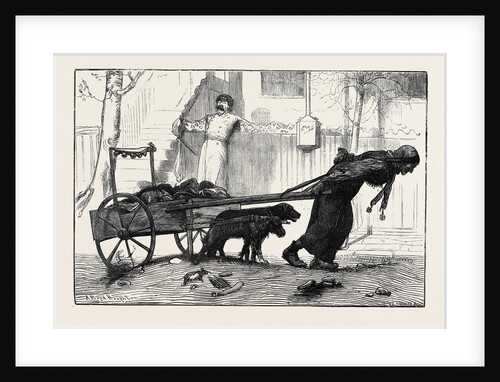 New York: In the Rag Trade, 1870 by Anonymous