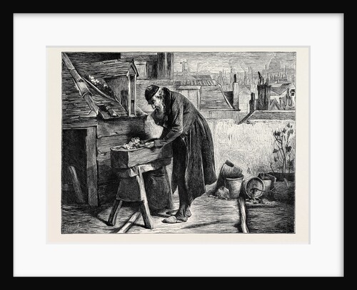 A London Garden, 1870 by Anonymous