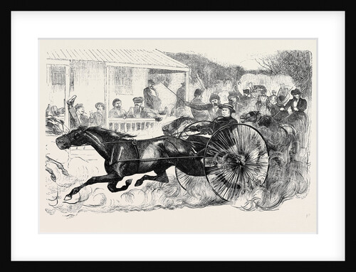 Trotting, Eighth Avenue, New York, 1870 by Anonymous