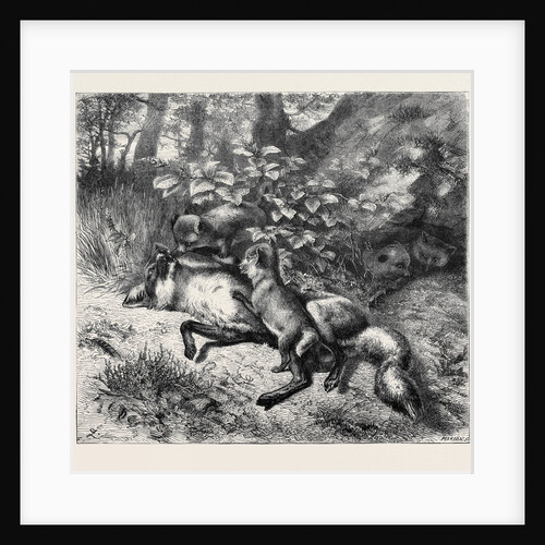 After Breakfast, from a Picture by J.B. Zwecker in the Old Bona Street Gallery, 1870 by Anonymous