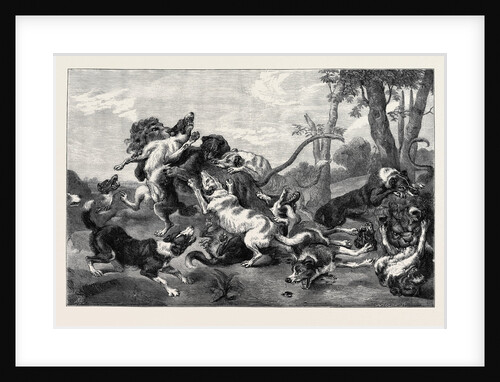 The Lion Hunt by Anonymous