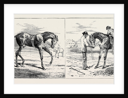 The Training of a Racehorse: Breaking the Yearling; Backing the Yearling, 1870 by Anonymous