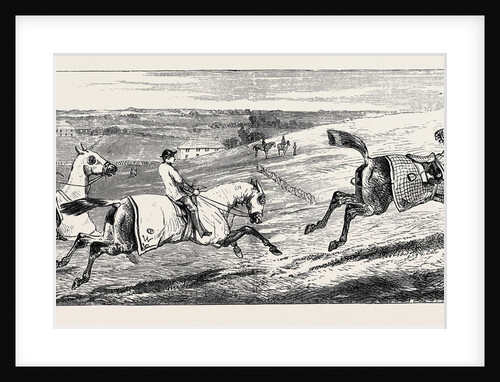 The Training of a Racehorse: The First Gallop on the Downs after the Winter, 1870 by Anonymous
