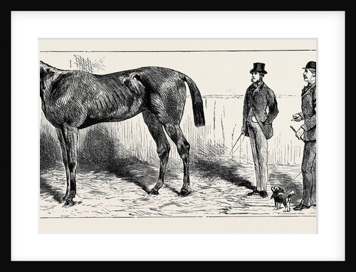 The Training of a Racehorse: At Home in the Stable, 1870 by Anonymous