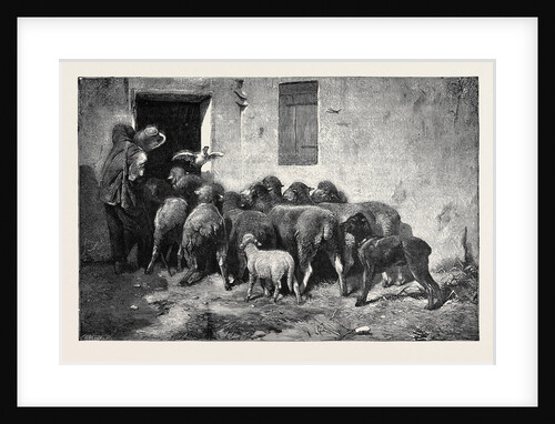 The Return of the Flock, from a Picture by Jacque by Anonymous