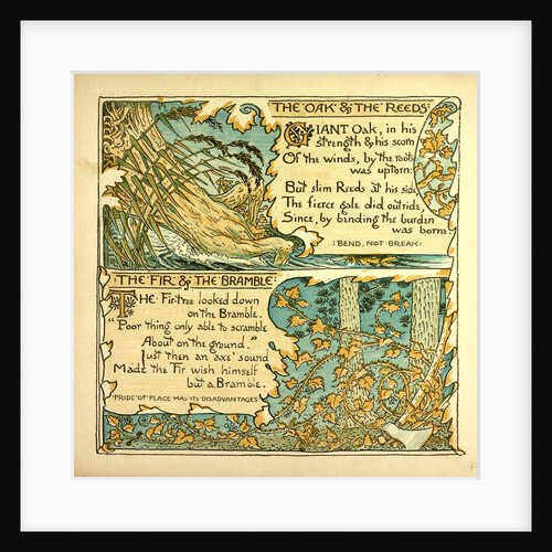 The Oak and the Reeds the Fir and the Bramble by Anonymous