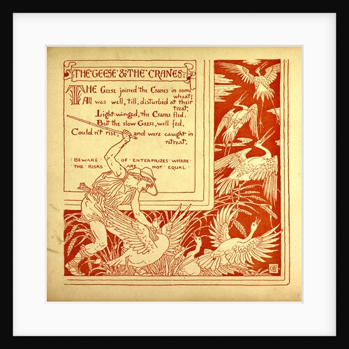 The Geese and the Cranes by Anonymous