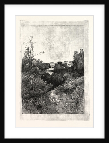 Willey Park: The House from the Park. by Anonymous
