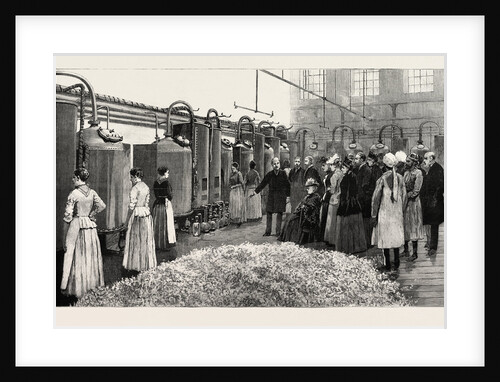 The Queen at Grasse: M. Chiris Explaining the Distilling Process. by Anonymous