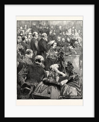 The Newfoundland Delegates at the Bar of the House of Lords. by Anonymous