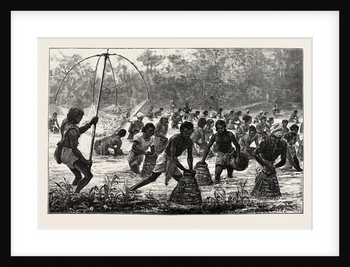 Beel-Fishing in Assam. by Anonymous