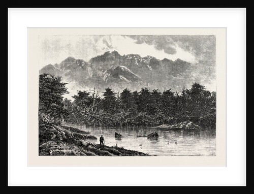 Te Anau One of the New Zealand Lakes: Mount Oilé from Botanist Bay by Anonymous