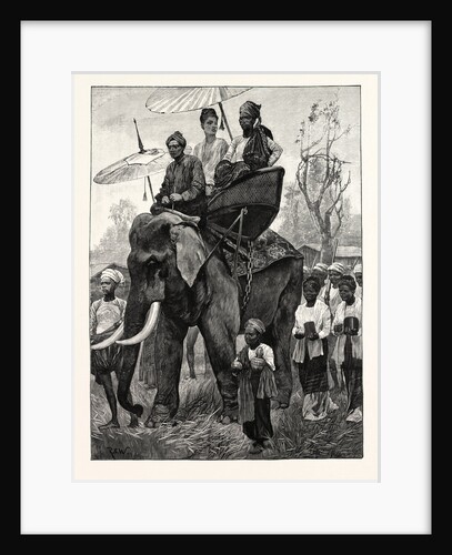 A Burmese Prince on a Visit of State by Anonymous