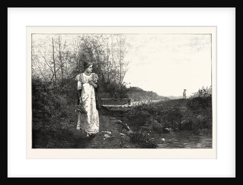 Cross Purposes by Anonymous