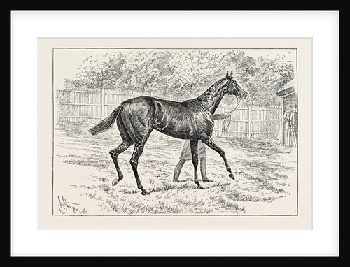 Common Winner of the Derby. by Anonymous