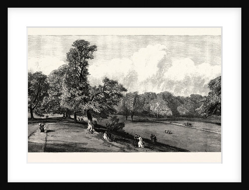 Visit of the Prince of Wales to Rotherham: Clifton Park by Anonymous