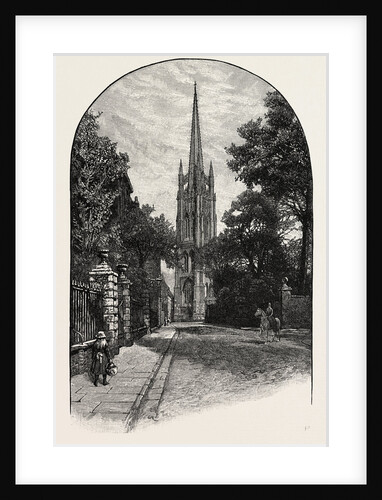 Louth: The Tower and Spire by Anonymous