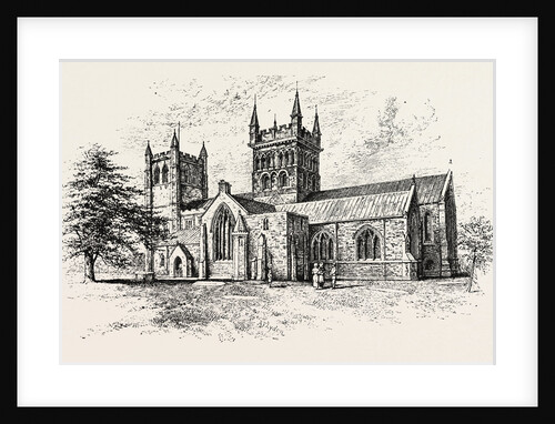 Wimborne Minster: View from the South East by Anonymous