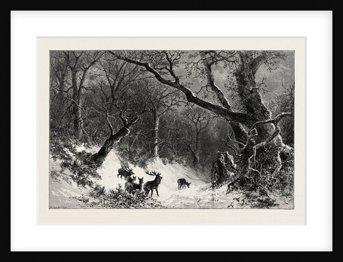 A Scandinavian Forest in Winter by Anonymous