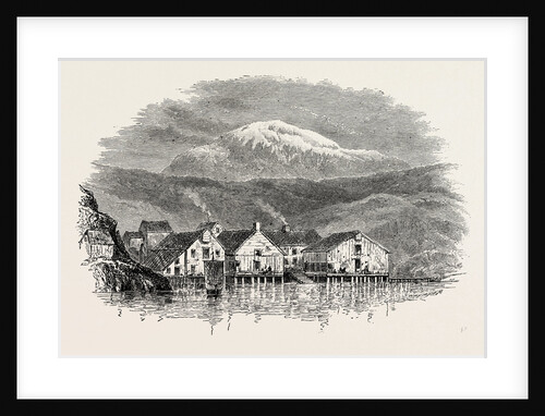 A Part of Christiansund Harbour by Anonymous