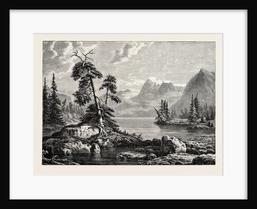 A View on the Hardanger Fjord by Anonymous