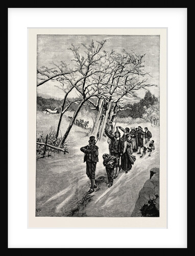 A Norwegian Wedding by Anonymous