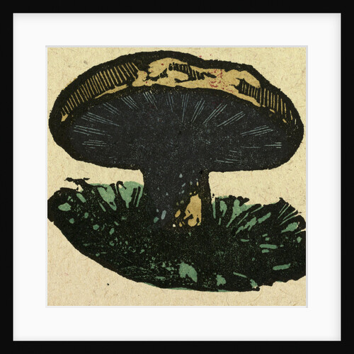 Illustration of English Tales Folk Tales and Ballads. A Mushroom by Anonymous