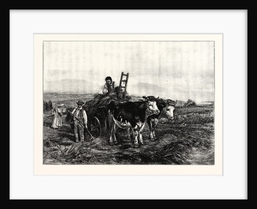 Hay-Making in Switzerland by Anonymous