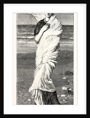 Shells by Anonymous