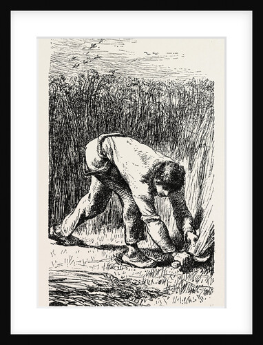Reaping, Le Scieur De Ble by Anonymous