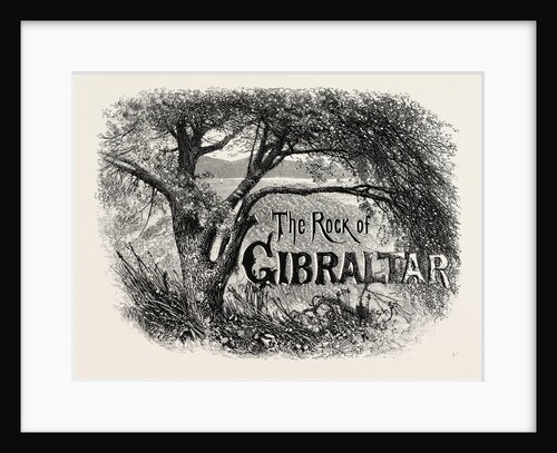 Sketch in the Alameda, Gibraltar by Anonymous