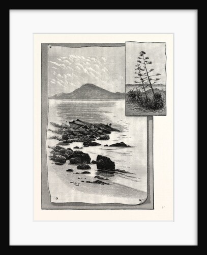 Camp Bay. Apes' Hill, Africa, in the Distance by Anonymous