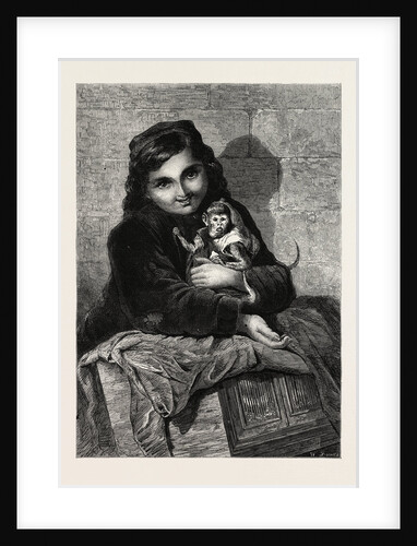 Two Little Monkeys, in the Exhibition of the Society of Female Artists by Anonymous