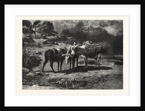 The Three Brothers, in the French Gallery by Anonymous