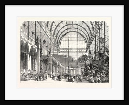 Opening of the Horticultural Society's Gardens: The Winter Garden by Anonymous
