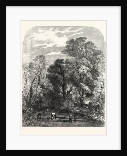 Watercress-Gathering by Anonymous