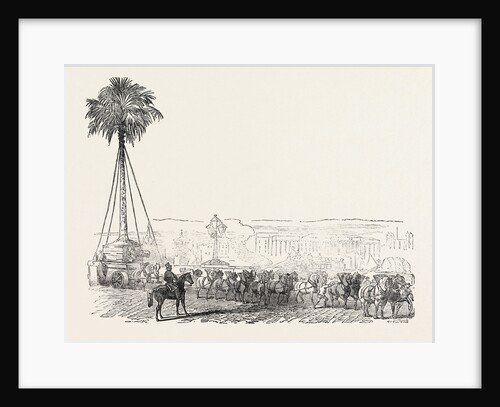 Removal of a Gigantic Palm-Tree from Messrs. Loddiges' at Hackney to the Crystal Palace 1854 London UK by Anonymous