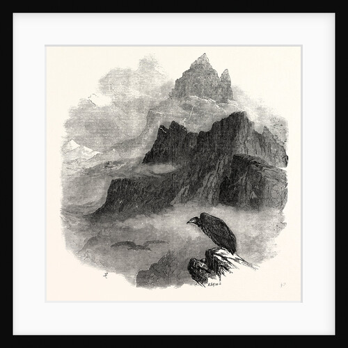 Summit of the Pic Du Midi D'Osseau Pyrenees 1854 by Anonymous