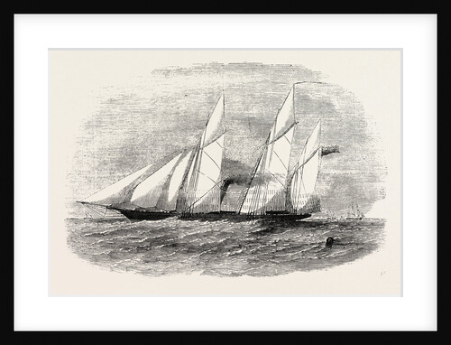 H.M. Screw Gun-Vessel Wrangler Built for the Baltic 1854 by Anonymous