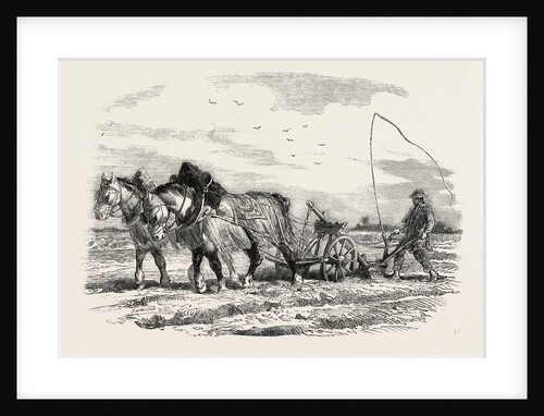 Ploughing in France by Anonymous