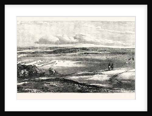 Encampment of Troops at Varna 1854 by Anonymous