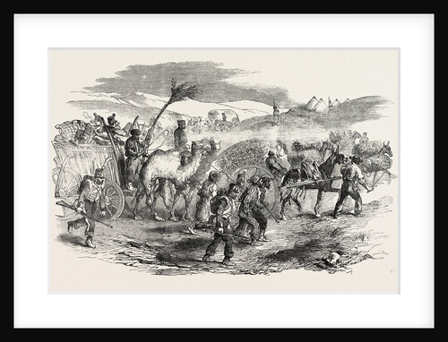 The Crimean War: The Road to Sebastopol: Commissariat Waggons Conveyance of Fascines 1854 by Anonymous