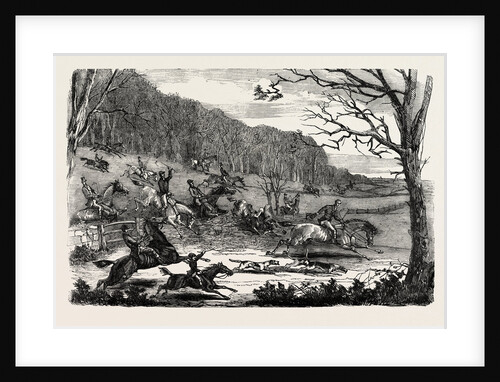 Fox-Hunting by Anonymous