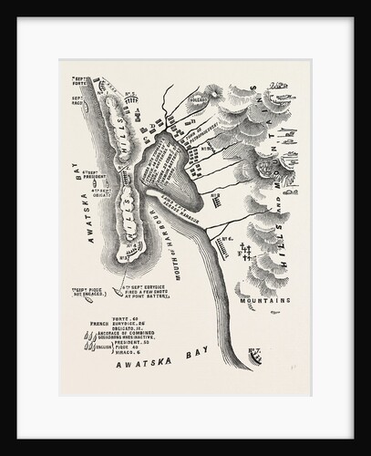 The Crimean War: Plan of Petropaulovski 1854 by Anonymous