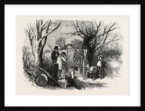 Cutting the Ashen Fagots Devonshire 1854 by Anonymous