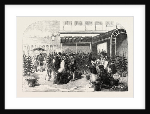Christmas Trees in Covent Garden Market London UK 1854 by Anonymous