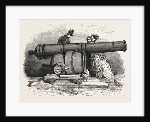 Gun and Mortar from Bomarsund at the Crystal Palace 1854 by Anonymous